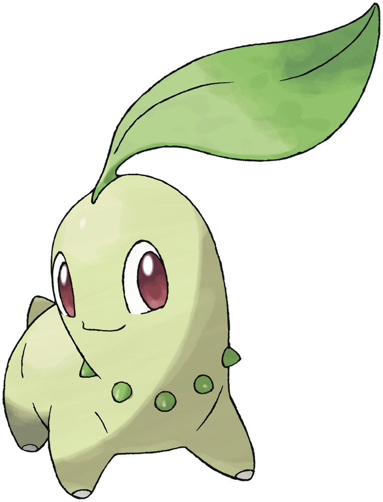 Chikorita