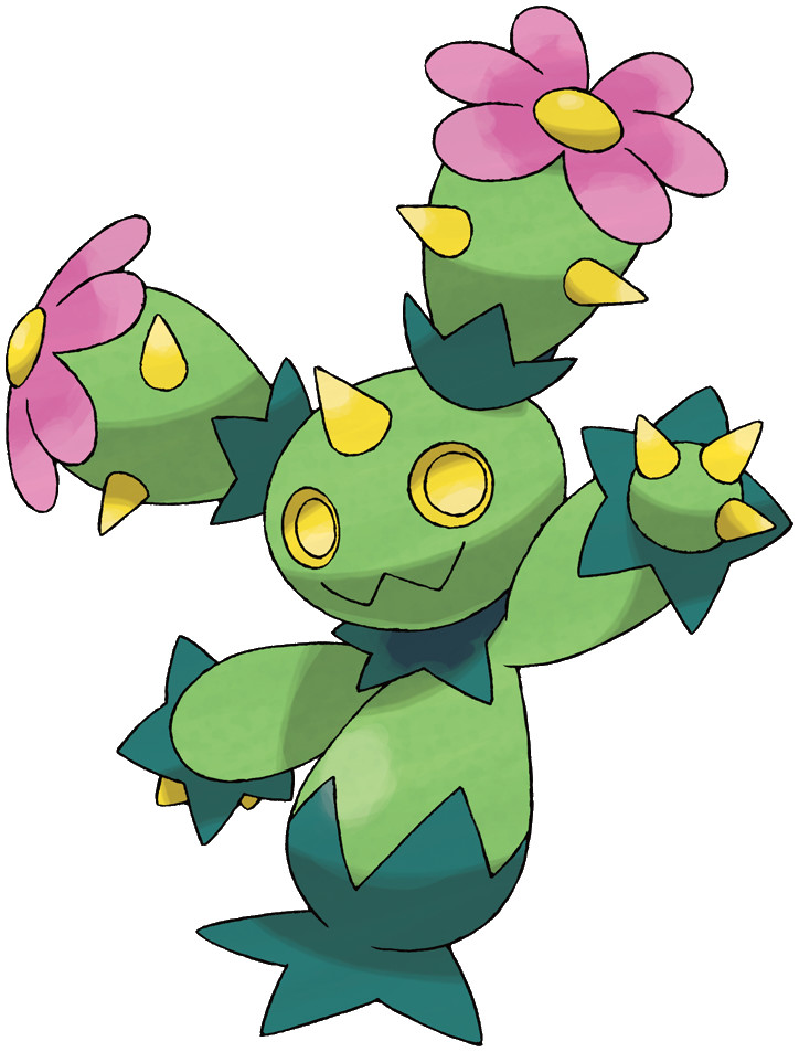 Maractus