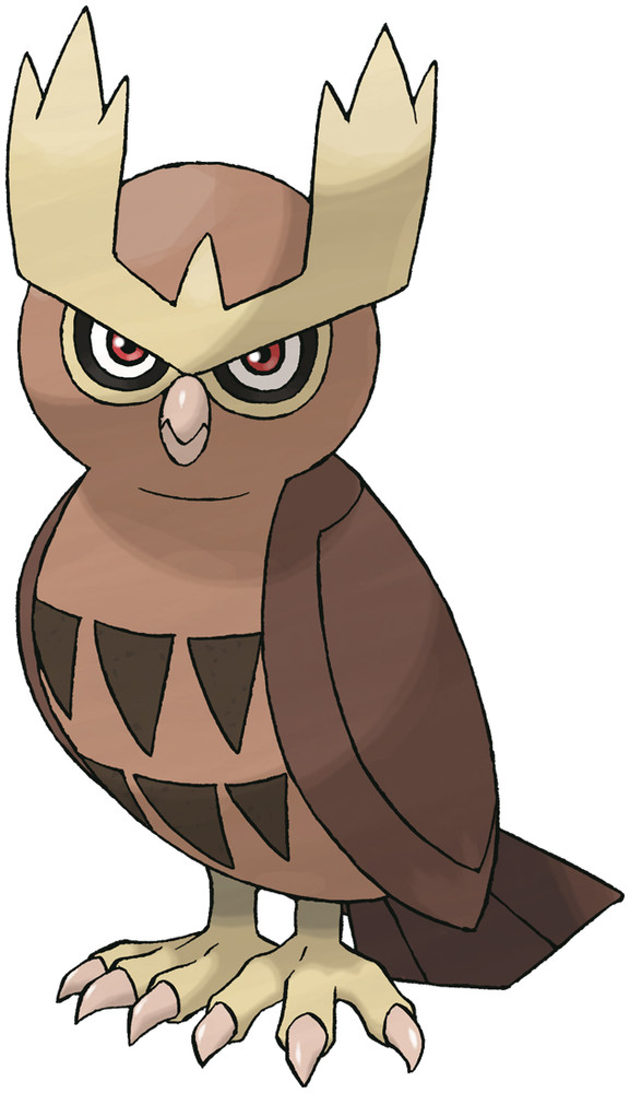 Noctowl