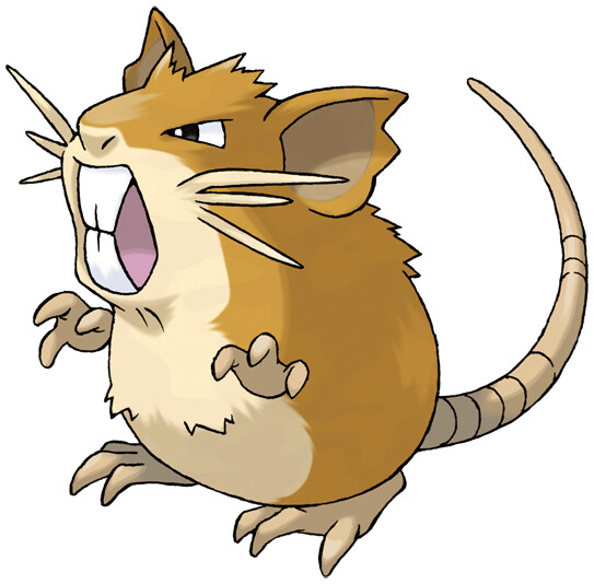 Raticate