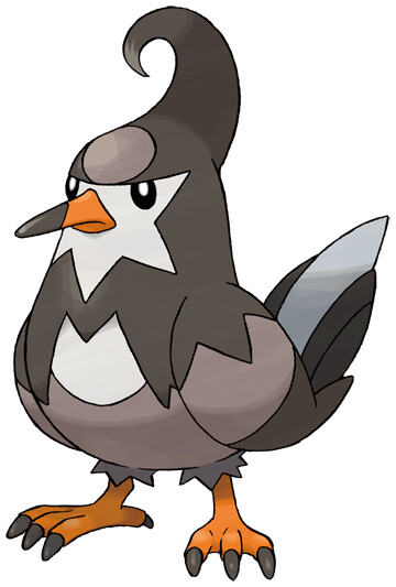 Staravia